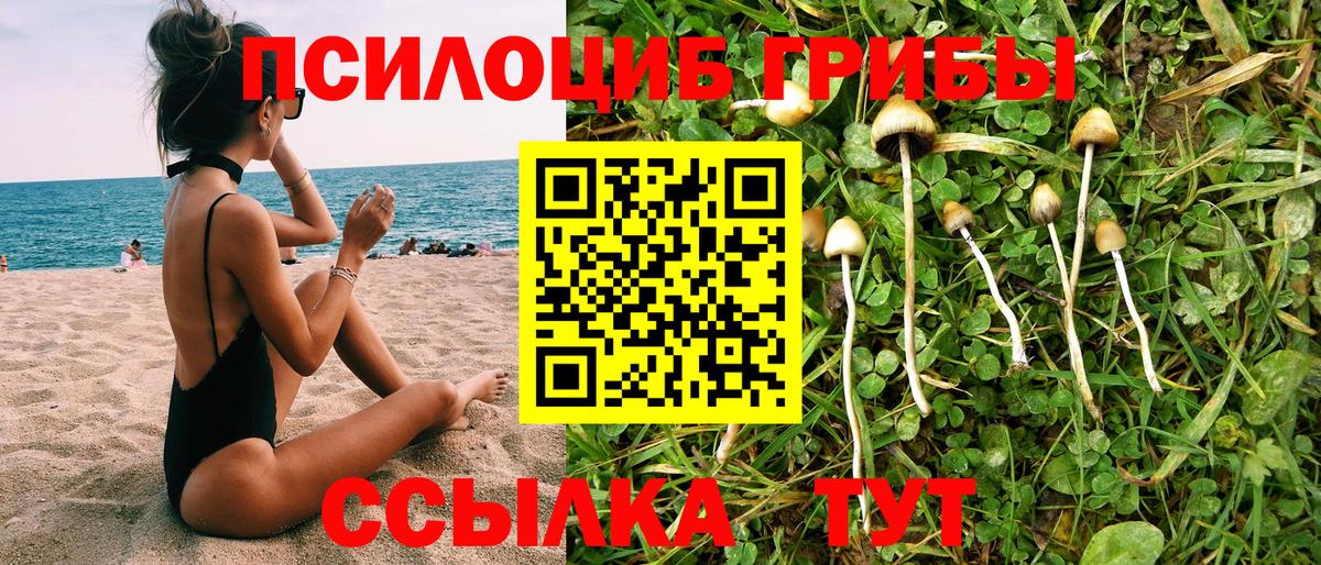 Галлюциногенные грибы GOLDEN TEACHER Симферополь