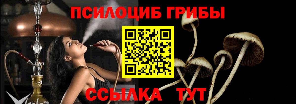 Галлюциногенные грибы GOLDEN TEACHER  Псилоцибиновые грибы Psilocybine cubensis  Симферополь  Вход с VPN 